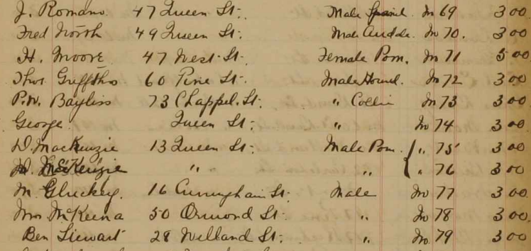image of handwritten listing